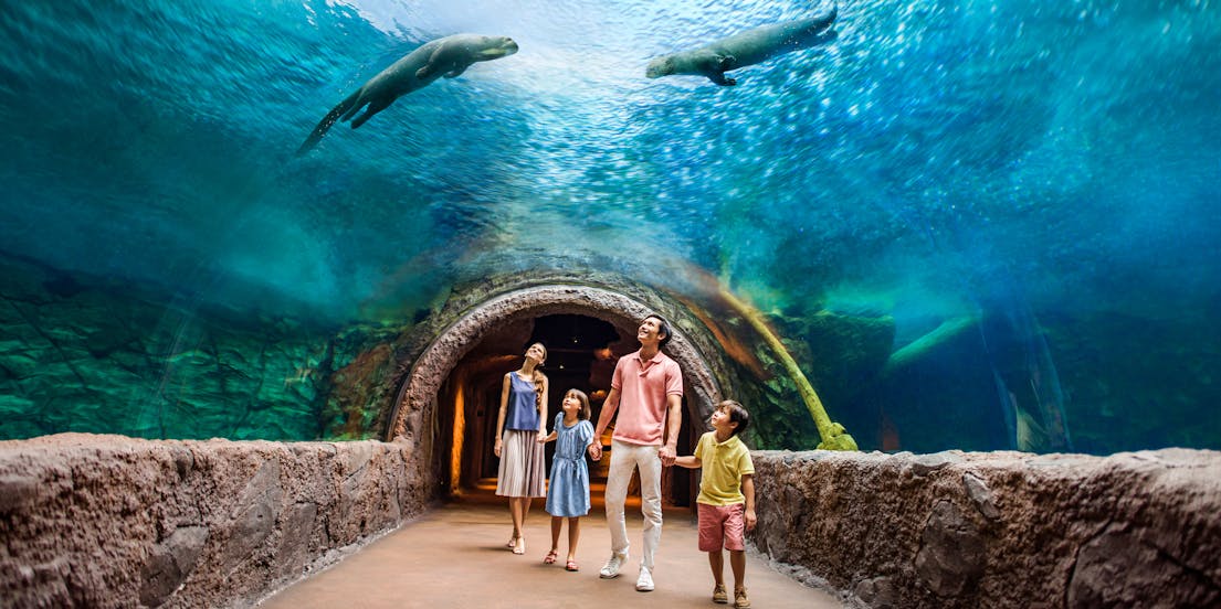 Exploria at Mandai Wildlife EAST